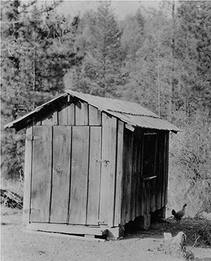 Chicken Coop